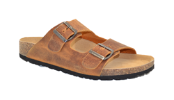 CIABATTA THESIS  R IMB V. CR.HORSE ALBICOCCA